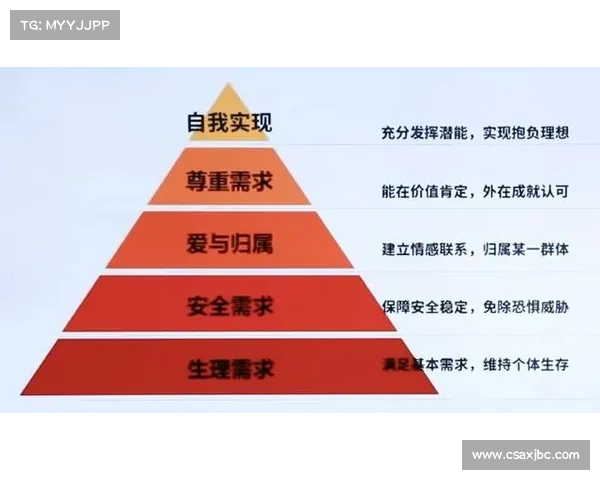 如何根据个人需求与发展方向选择最适合自己的ARS球队